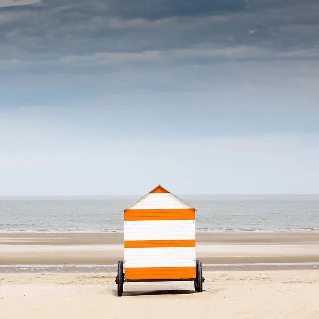 5 platos típicos de la gastronomía peruana que debes probar