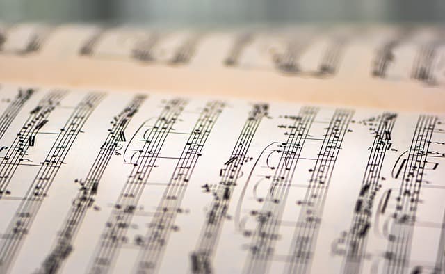 Cómo elegir una guitarra española adecuada
