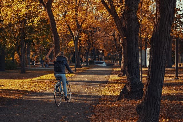 Las mejores actividades de ocio en español para disfrutar en familia